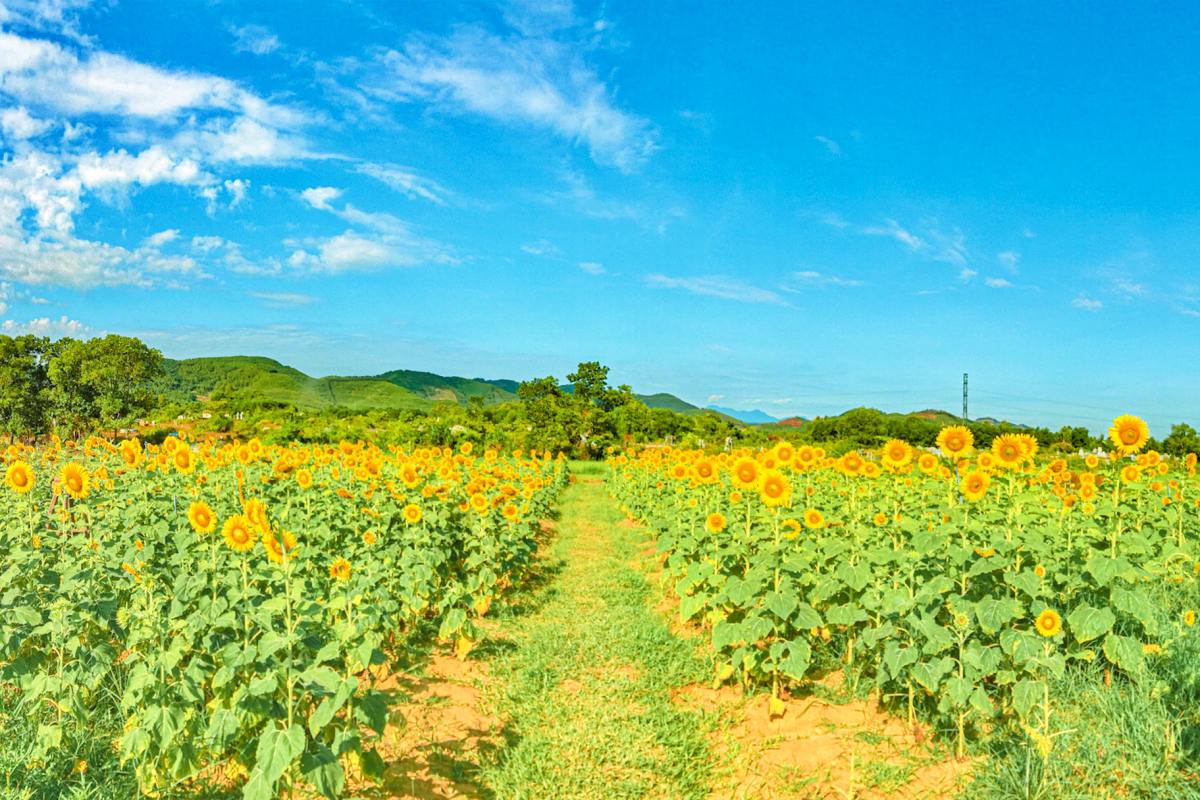 Green Life Farm