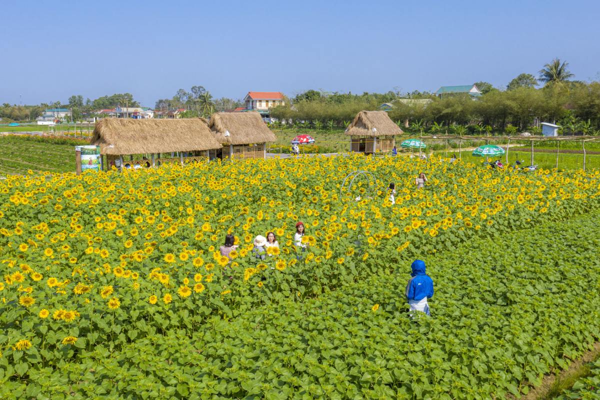 Green Life Farm