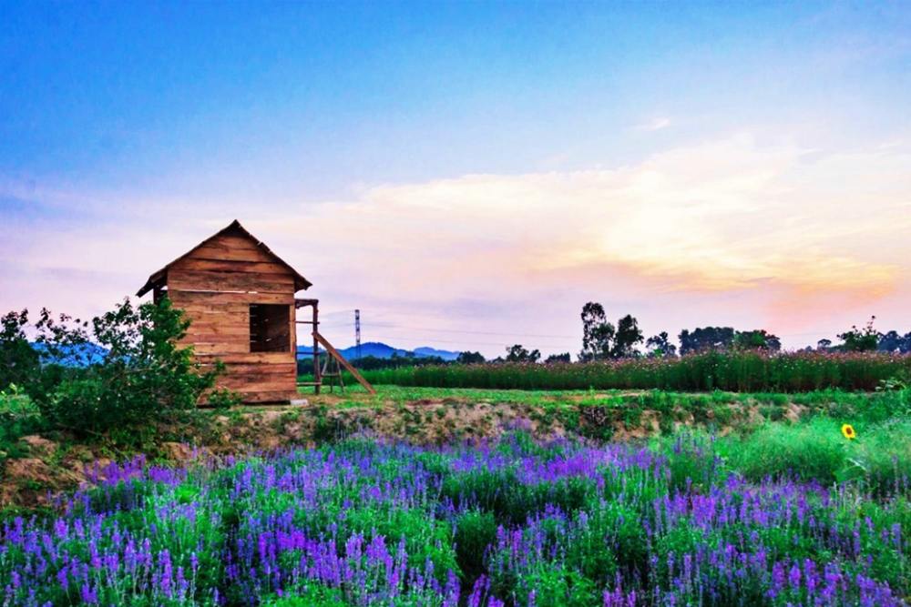 Green Life Farm