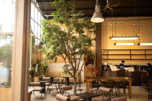 Đa:mê Café – Hàn Thuyên